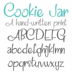 PN Cookie Jar