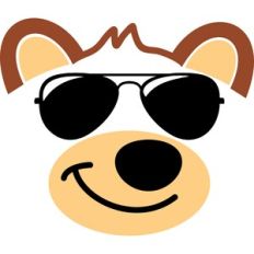 bear sunglasses