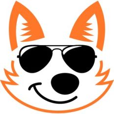 fox sunglasses