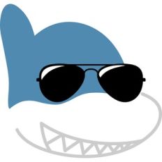 shark sunglasses