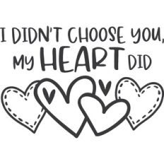 I Didn't Choose You My Heart Did