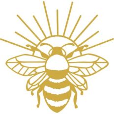 bee sun