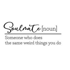 Soulmate funny definition