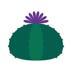 Blooming Cactus