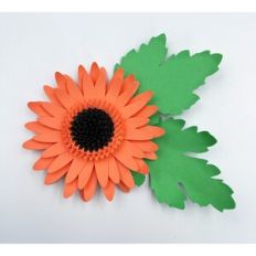 3D Gerbera
