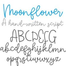 ZP Moonflower