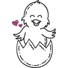 Baby Chick in Egg