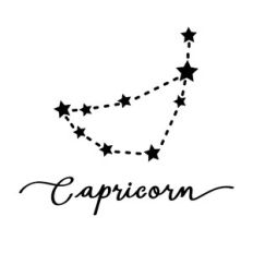 Capricorn Zodiac Constellation Sign
