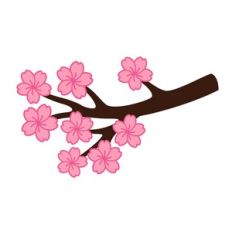 Cherry Blossom Branch