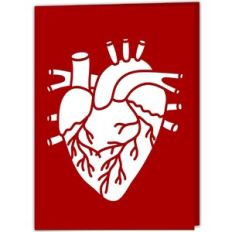 Anatomical Heart Valentine's Card