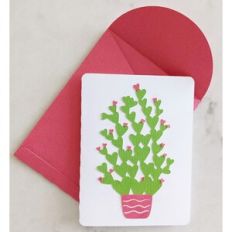 heart cactus love card and envelope