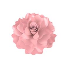 Practical Flower 92