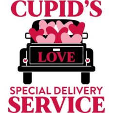 Cupid's Special Delivery Service