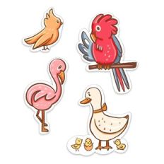 Cute bird stickers