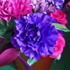 Seraphim Flower