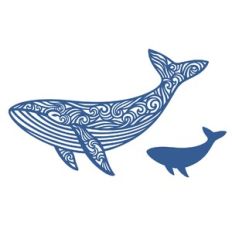 Detailed whale
