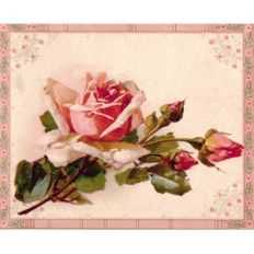 flower postcard