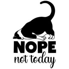 not today cat