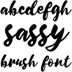 sassy brush font
