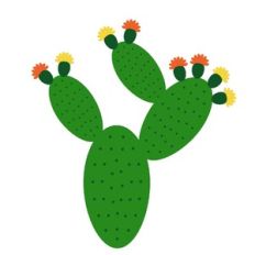 Prickly Pear Cactus