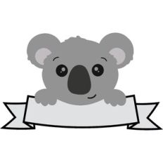 Koala with Banner