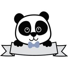 Boy Panda with Banner
