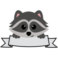 Raccoon With Banner