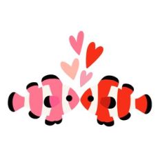 Valentine's Day Clown Fish