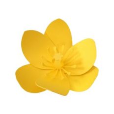 Delicate Flower 52