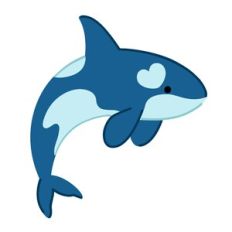 Orca Whale