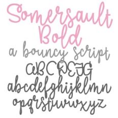 PN Somersault Bold