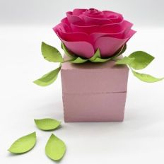 Square Box with Rose
