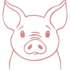 pig