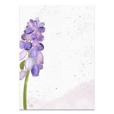 Spring Grape Hyacinth Flower Greeting Cover Card