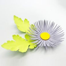 3D Daisy