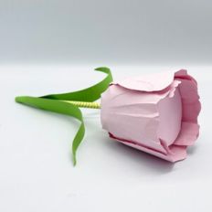 3D Tulip Gift Box
