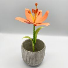 3D Tiger Lily