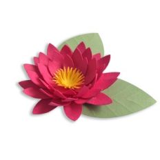 Lotus Flower 57