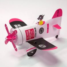 Flying Color-Pink