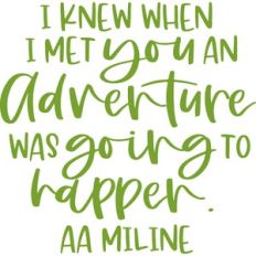 i knew when i met you an adventure was about to happen