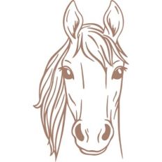 horse