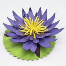 3D Waterlily - Cynthia Braga