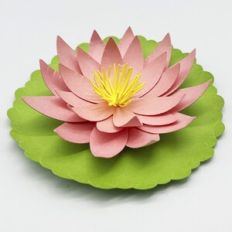 3D Lotus - Cynthia Braga - Cynthia Braga