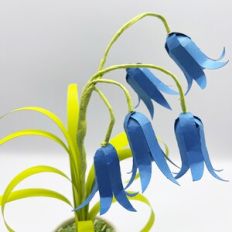 3D Bluebells