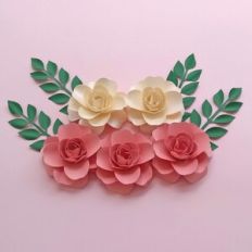 Camellia flower plus foliage