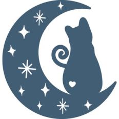 Cat Sitting On Starry Moon