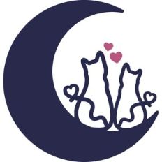 Cats in Love on Moon
