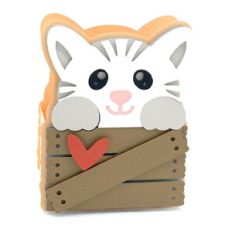 cat in the box