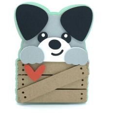 dog in the box