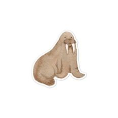 Walrus